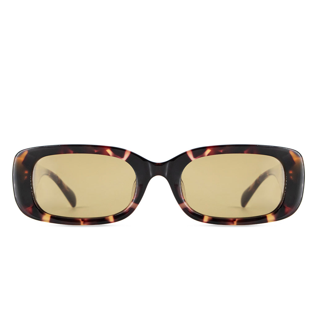 Maria Cher Lentes de Sol