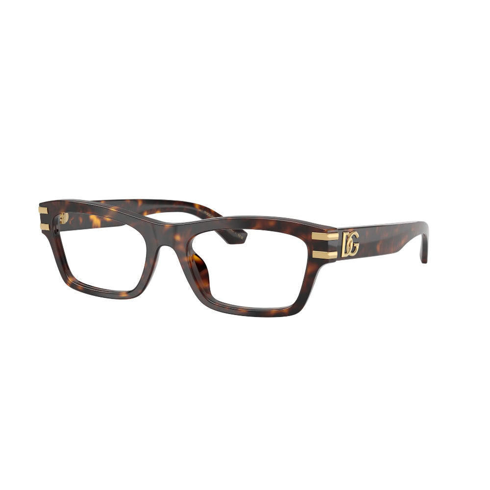 Dolce & Gabbana DG 3454