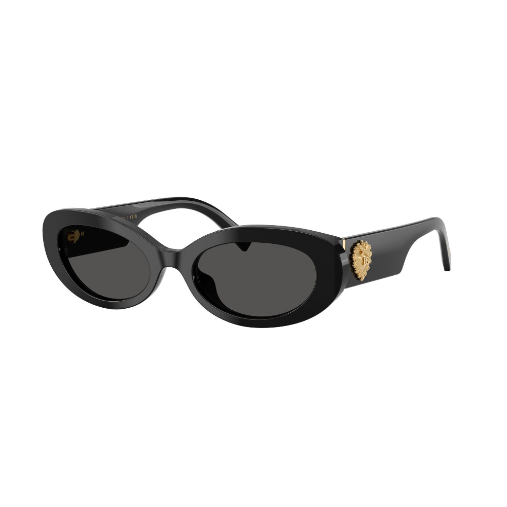 Dolce & Gabbana DG 4537