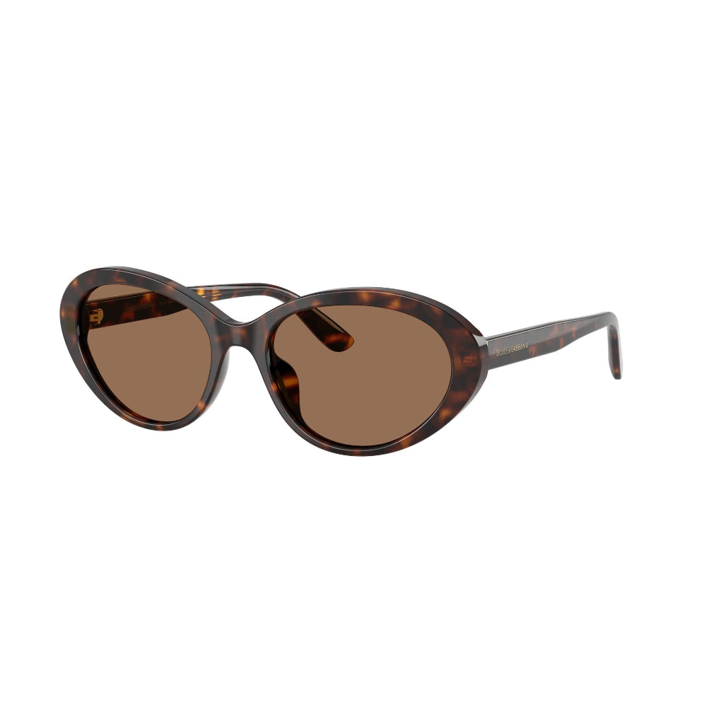 Dolce & Gabbana DG 4570