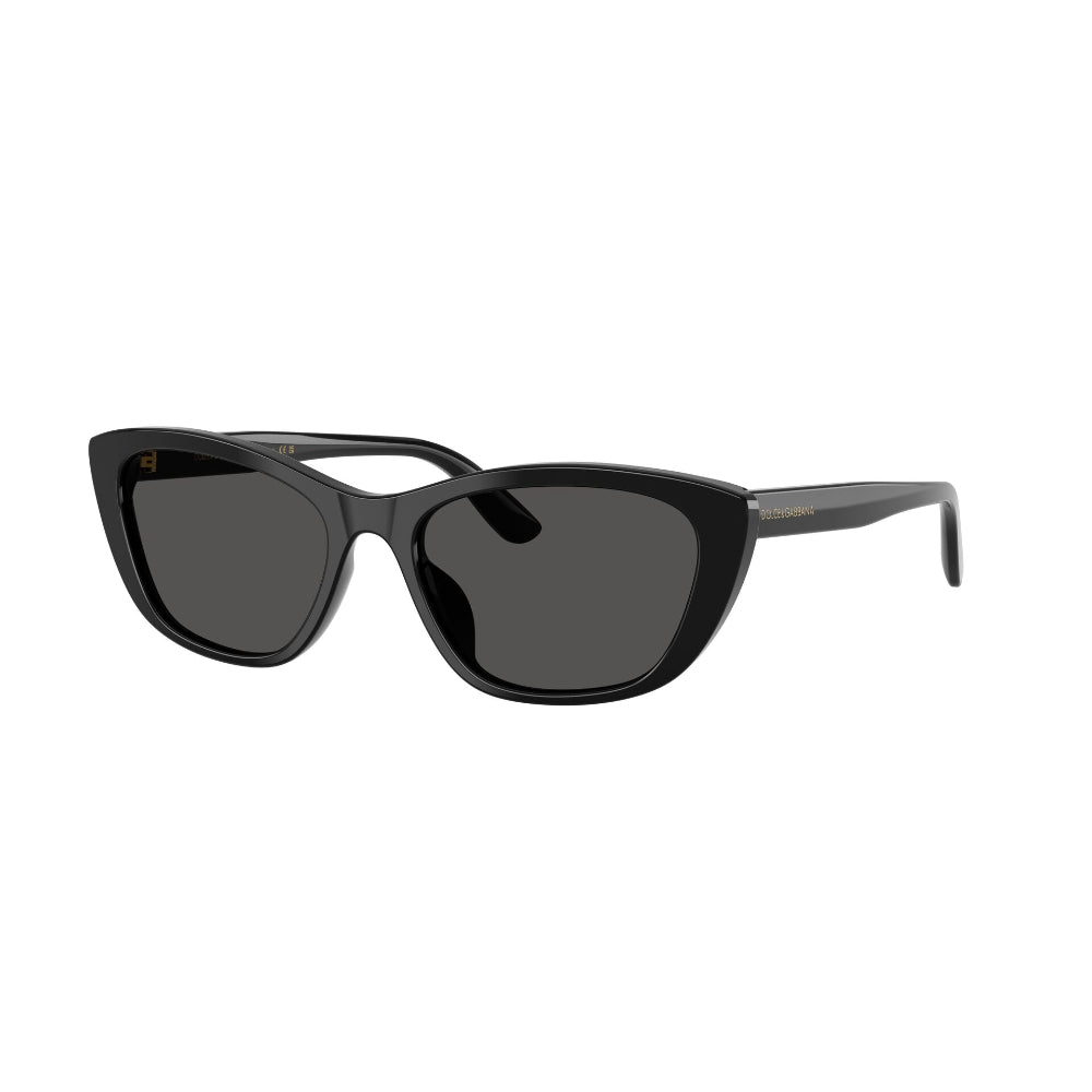 Dolce & Gabbana DG 4571