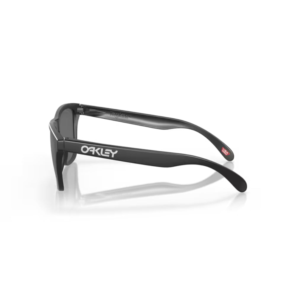 Oakley Frogskins Lentes de Sol