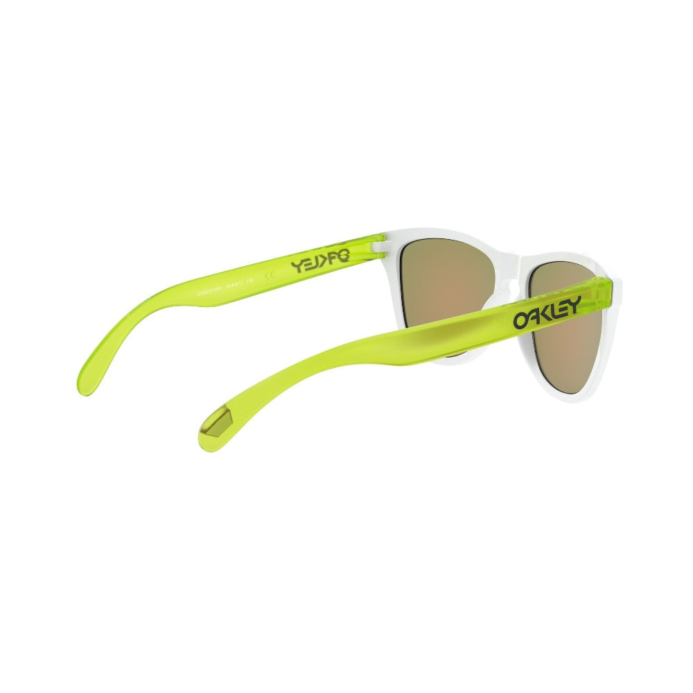 Oakley Frogskins Prizm