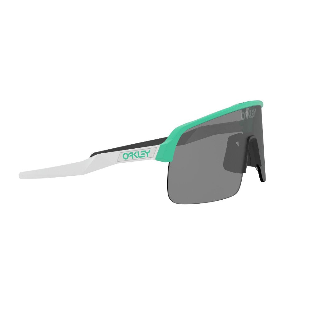 Oakley Sutro Lite Prizm