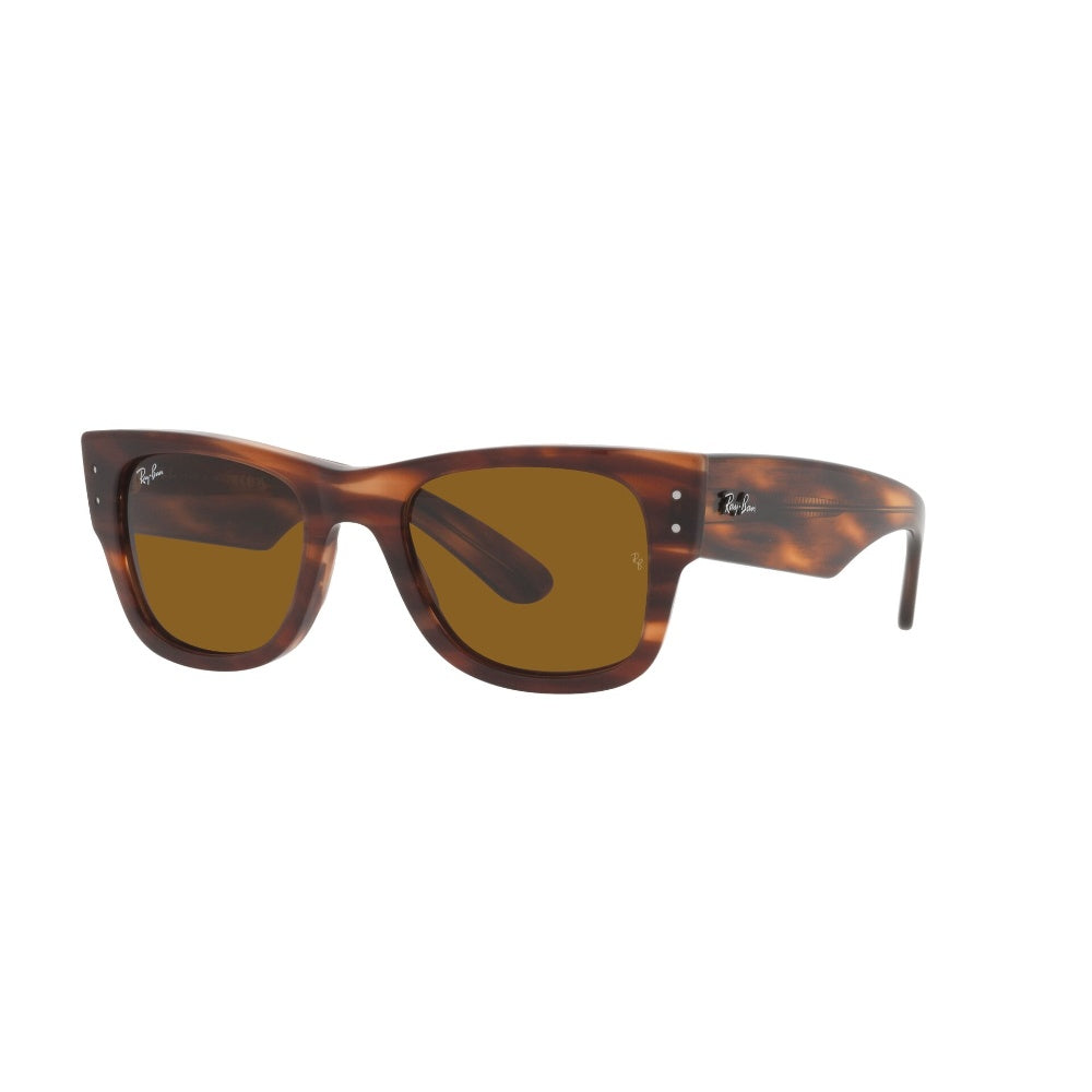 Ray-Ban Mega Wayfarer