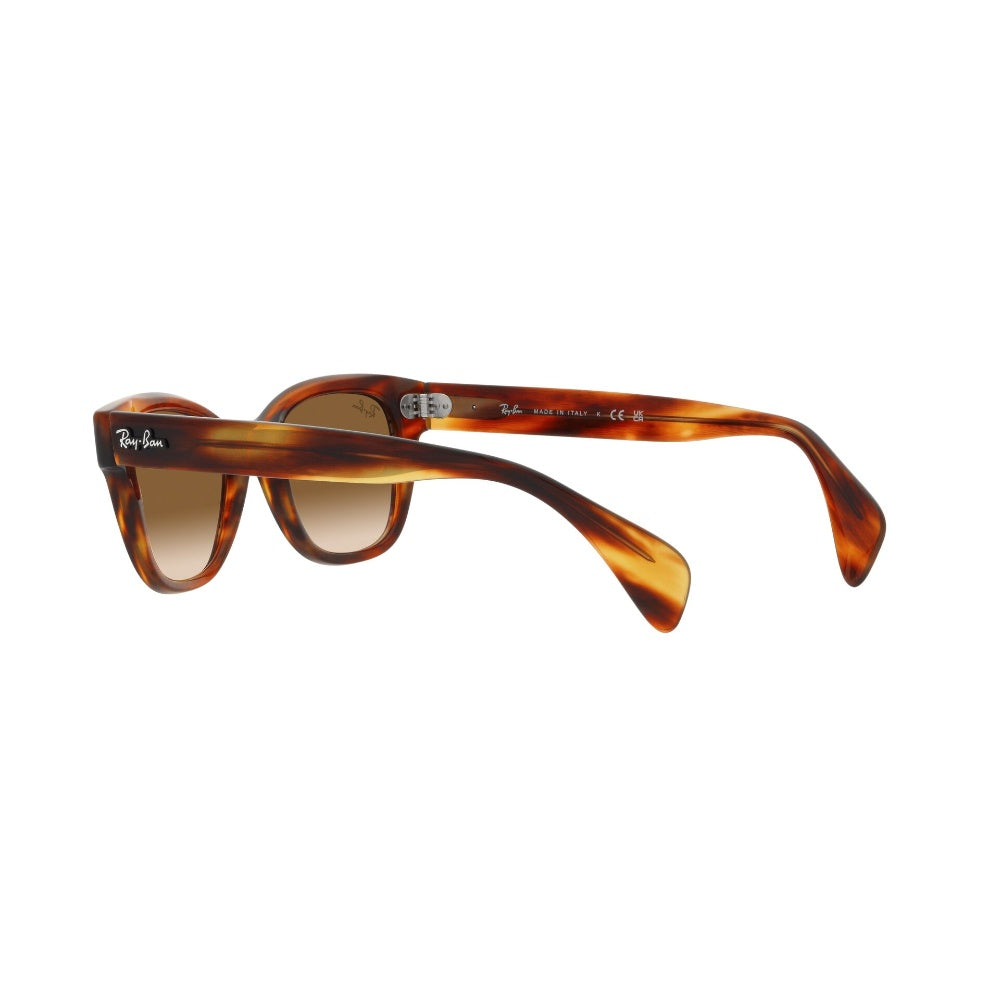Ray-Ban Lentes de Sol