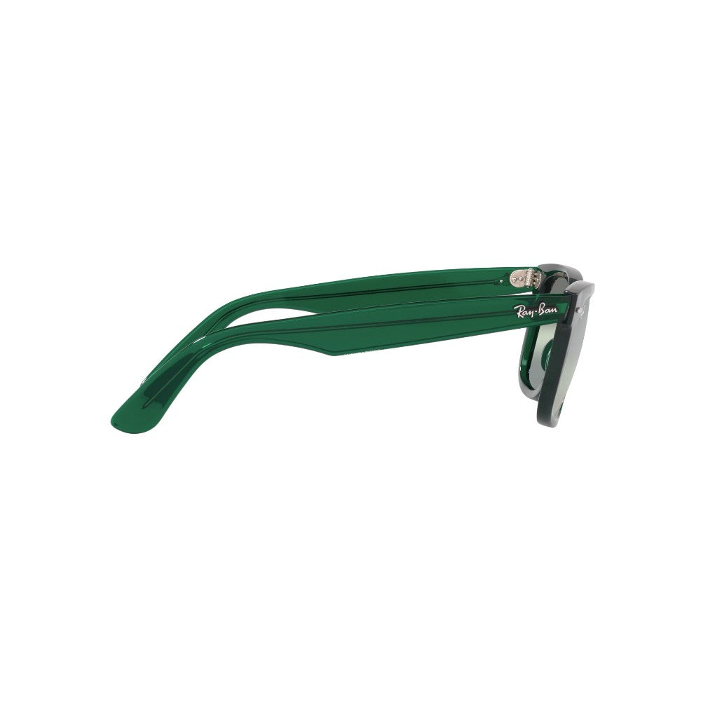 Ray-Ban Wayfarer Polarizado