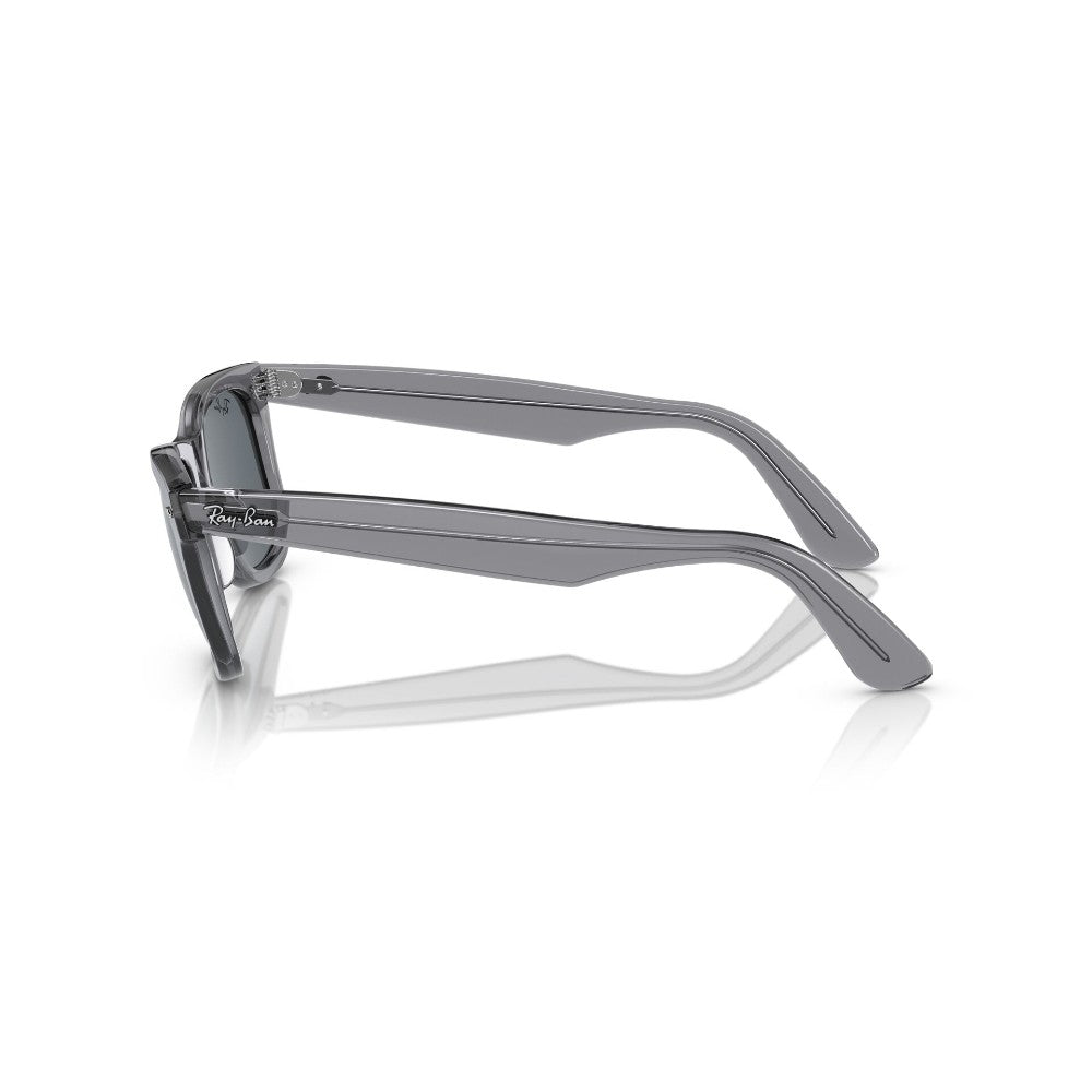 Ray-Ban Wayfarer