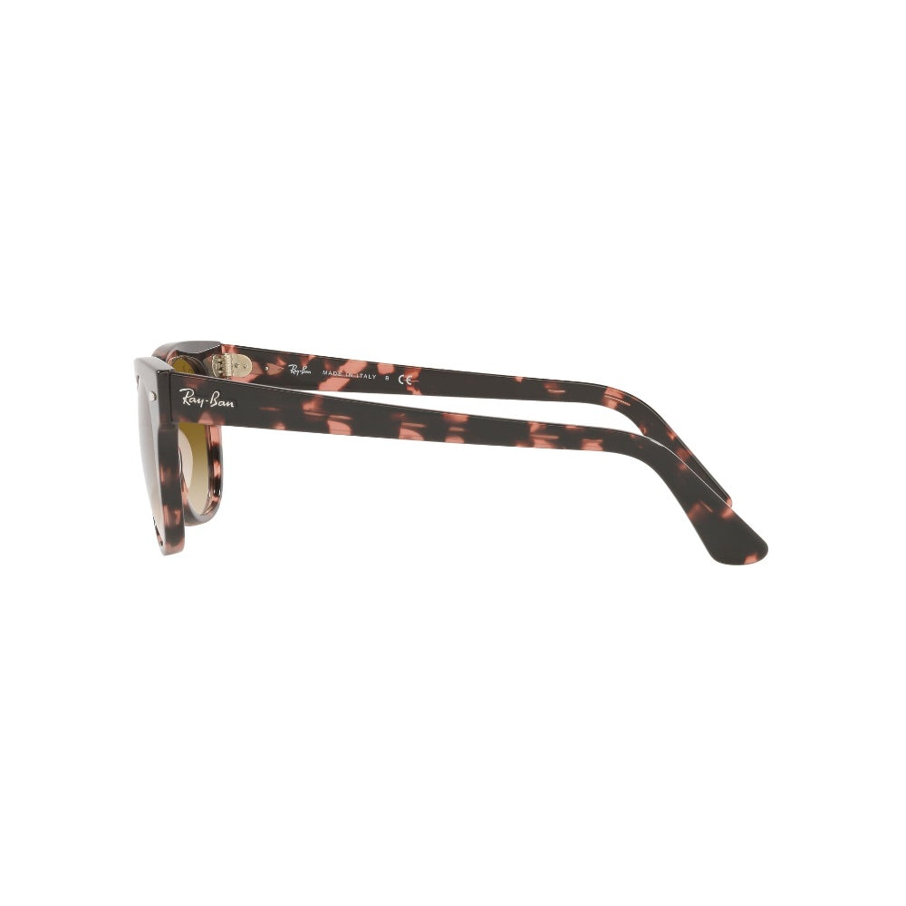 Ray-Ban Meteor