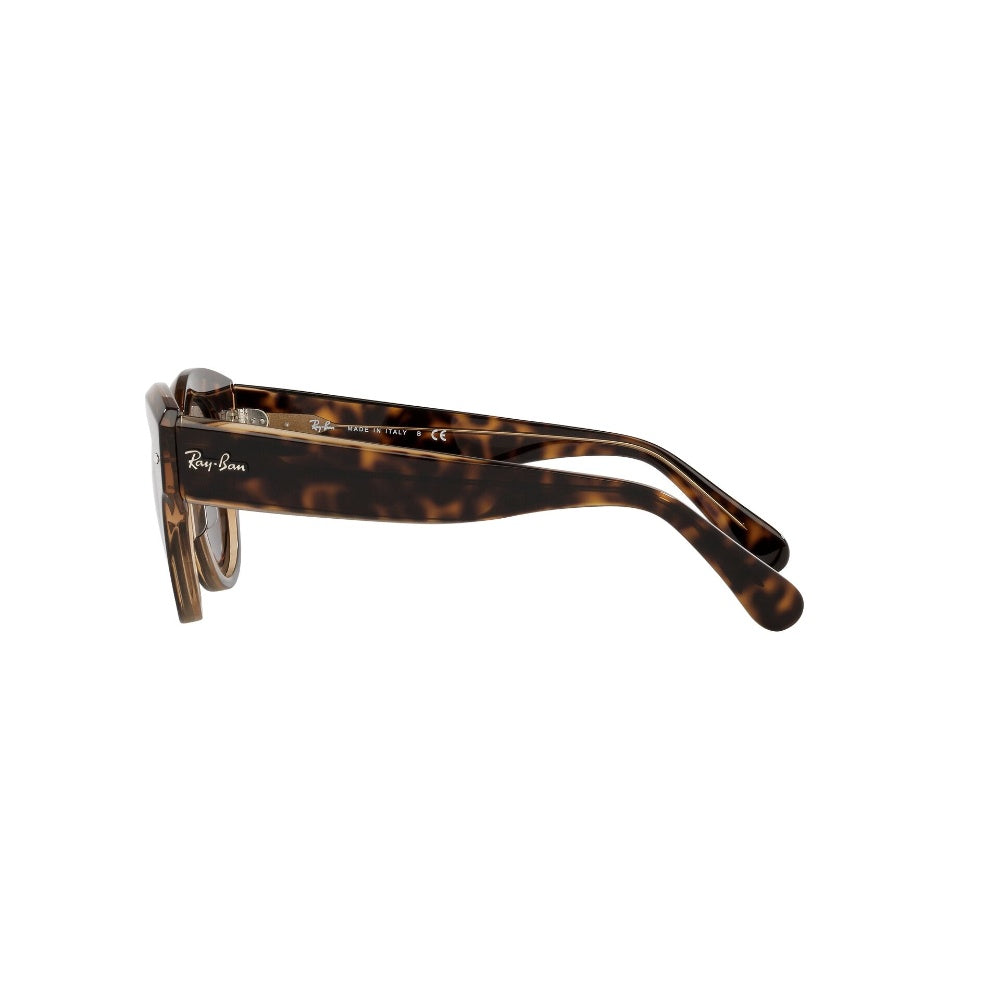 Ray-Ban Roundabout