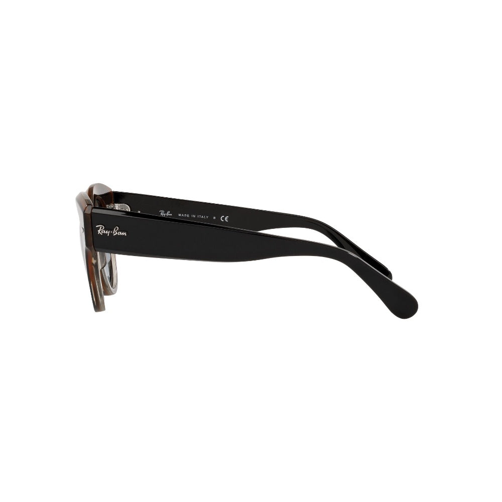 Ray-Ban Roundabout
