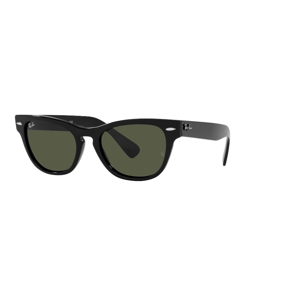 Ray-Ban Laramie