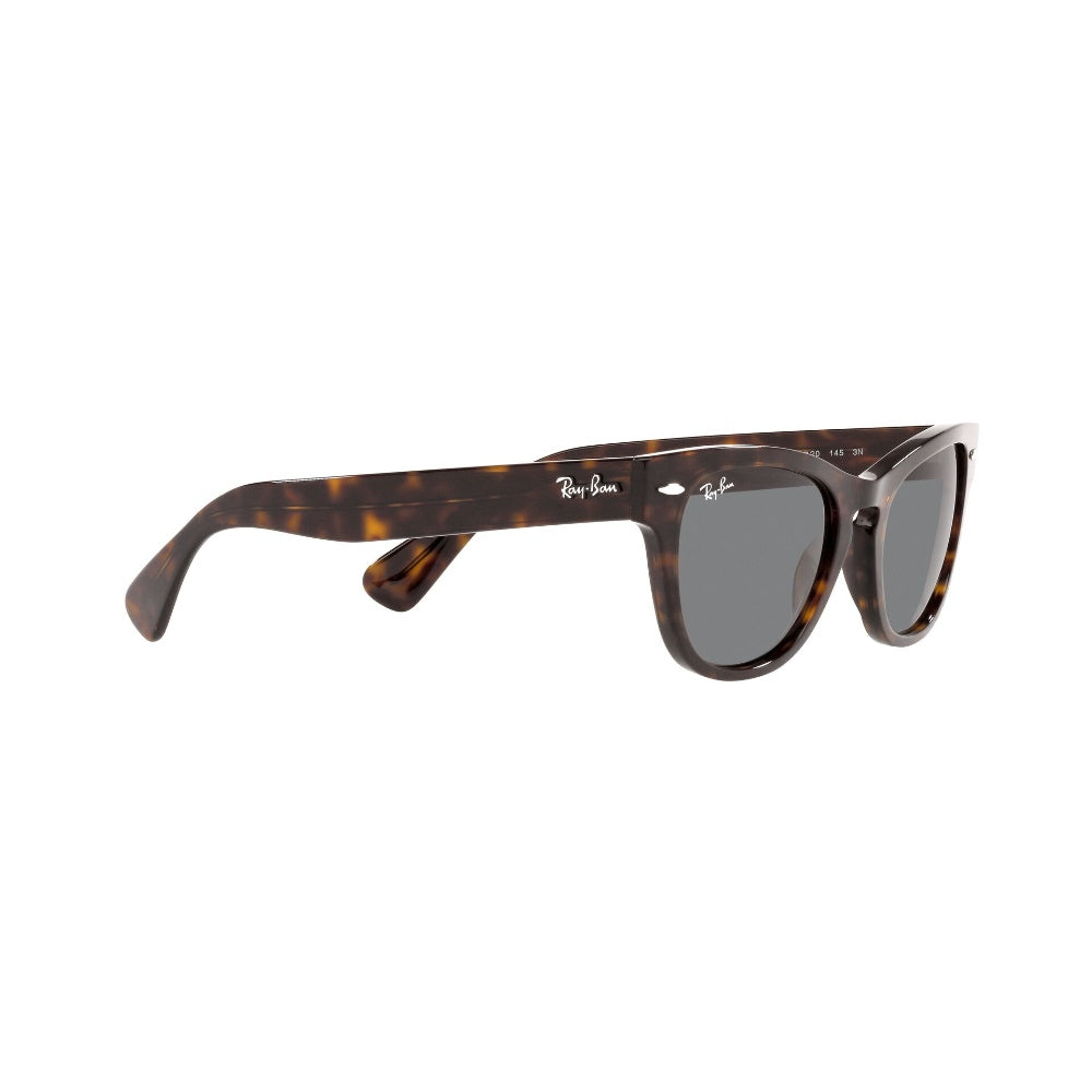 Ray-Ban Laramie