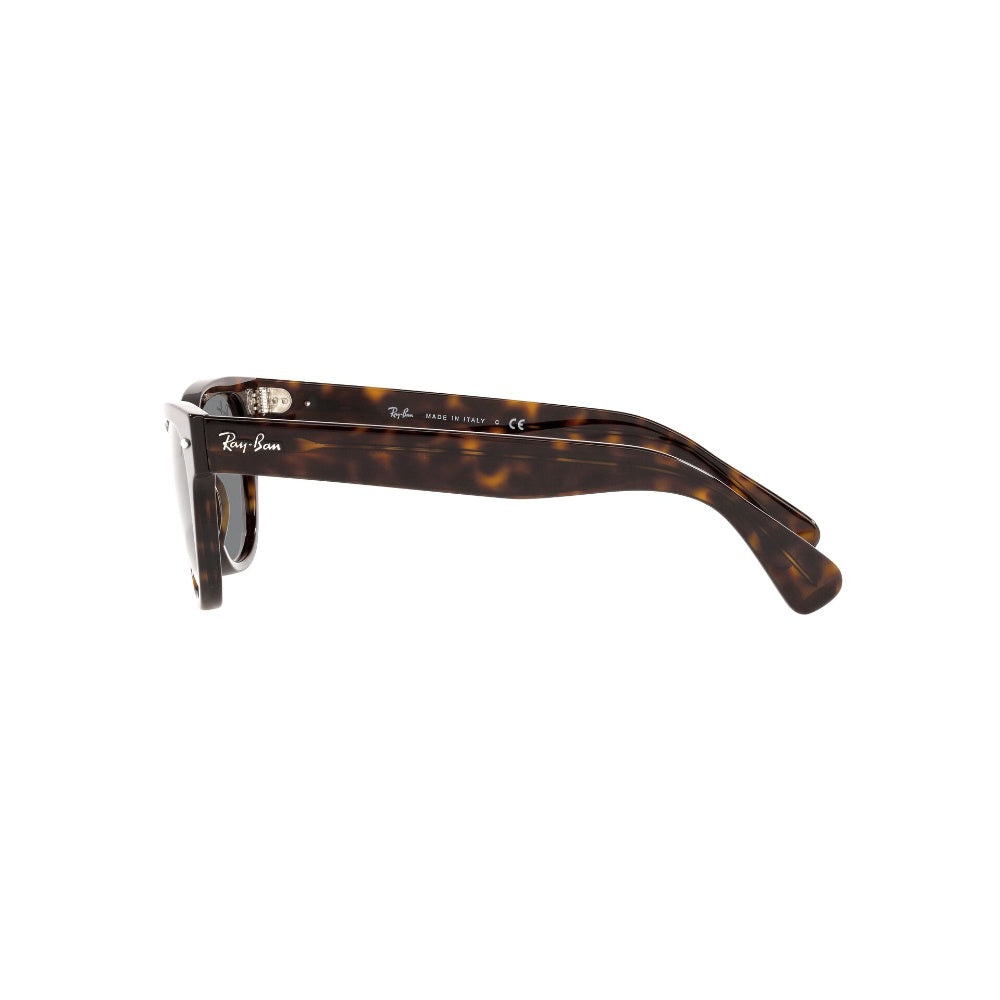 Ray-Ban Laramie
