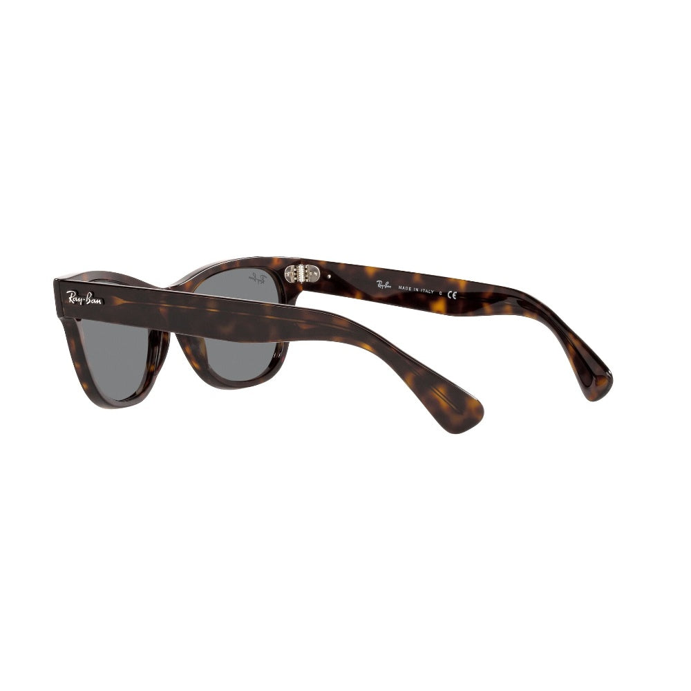 Ray-Ban Laramie