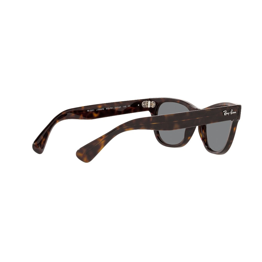 Ray-Ban Laramie