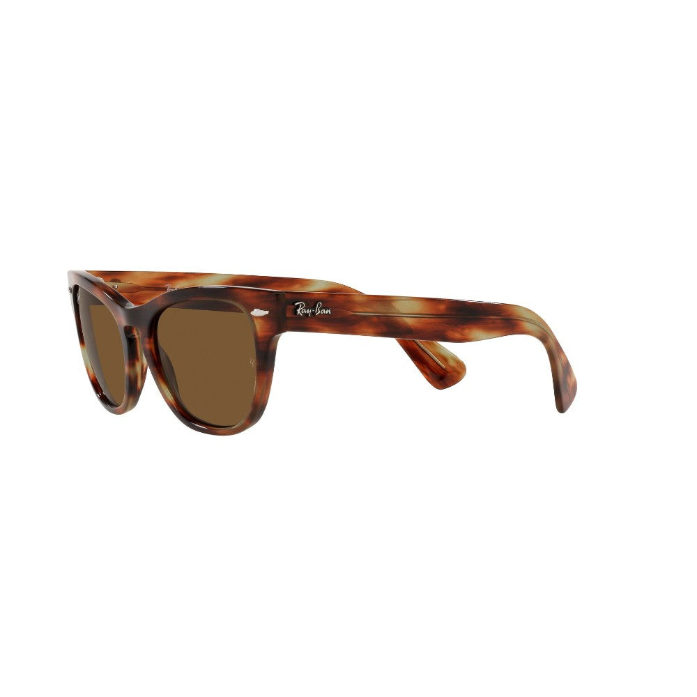 Ray-Ban Laramie Polarizado