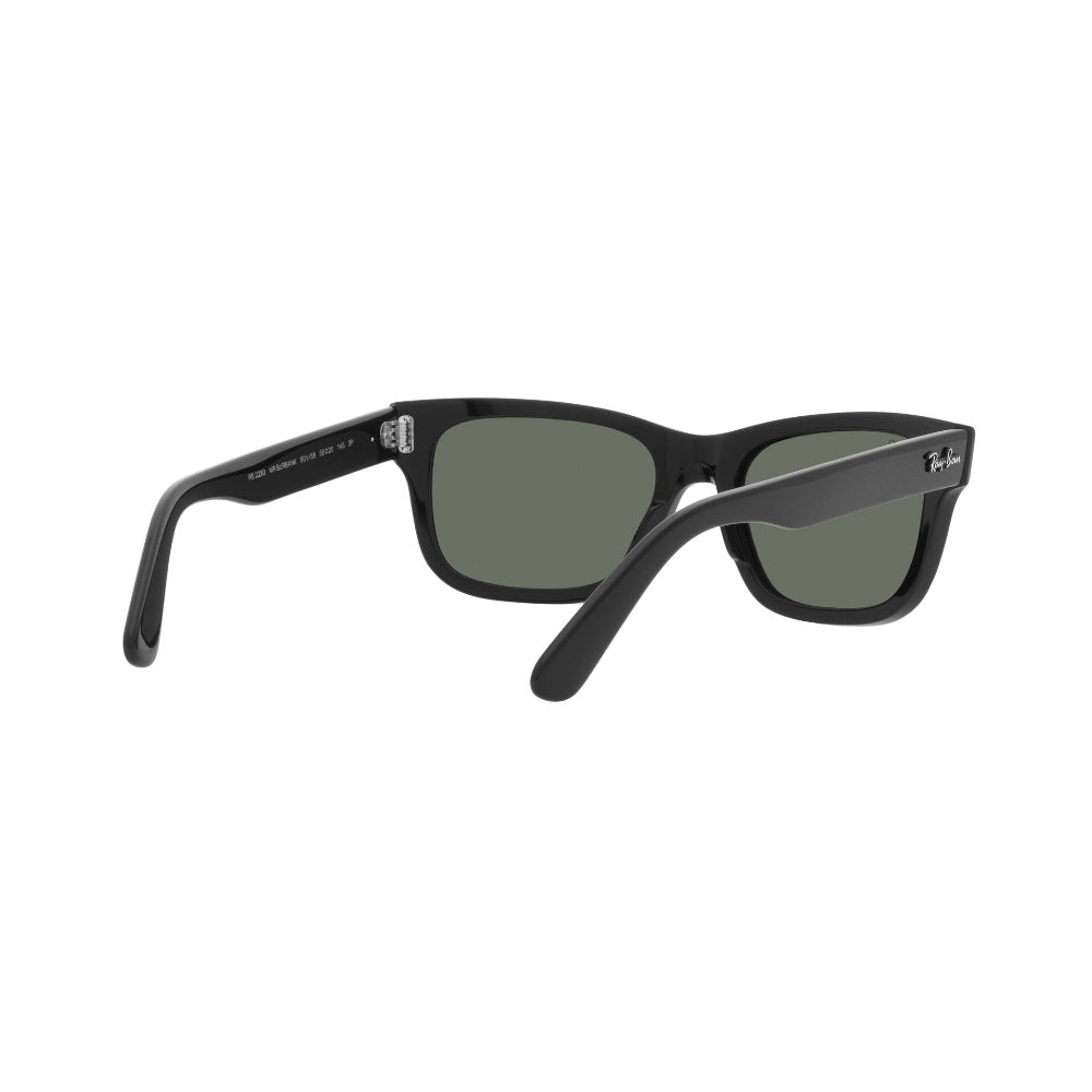 Ray-Ban Mr Burbank Polarizado