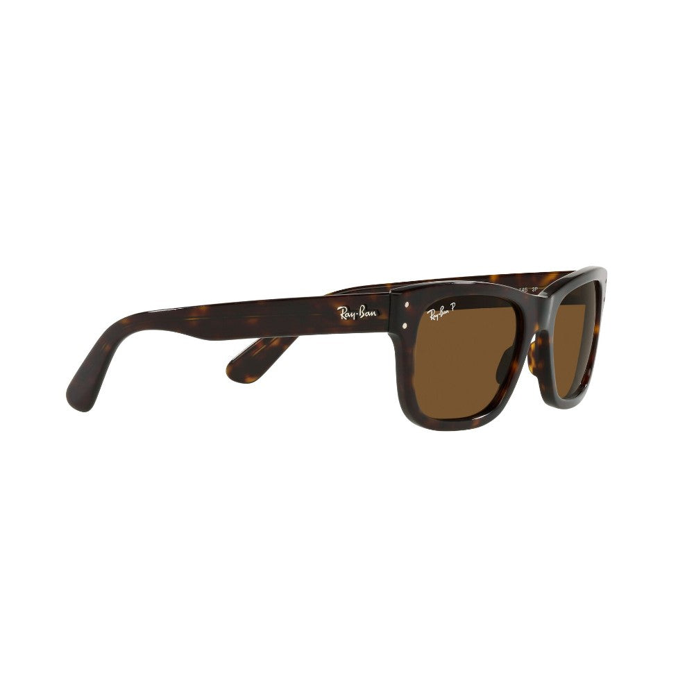 Ray-Ban Mr Burbank Polarizado