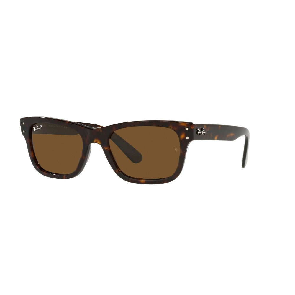 Ray-Ban Mr Burbank Polarizado