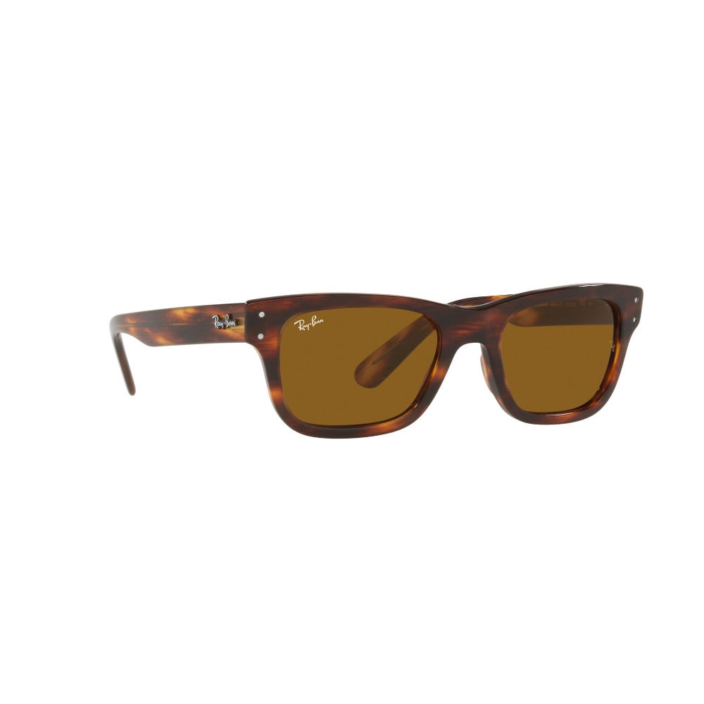 Ray-Ban Mr Burbank