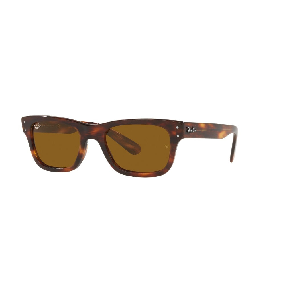 Ray-Ban Mr Burbank