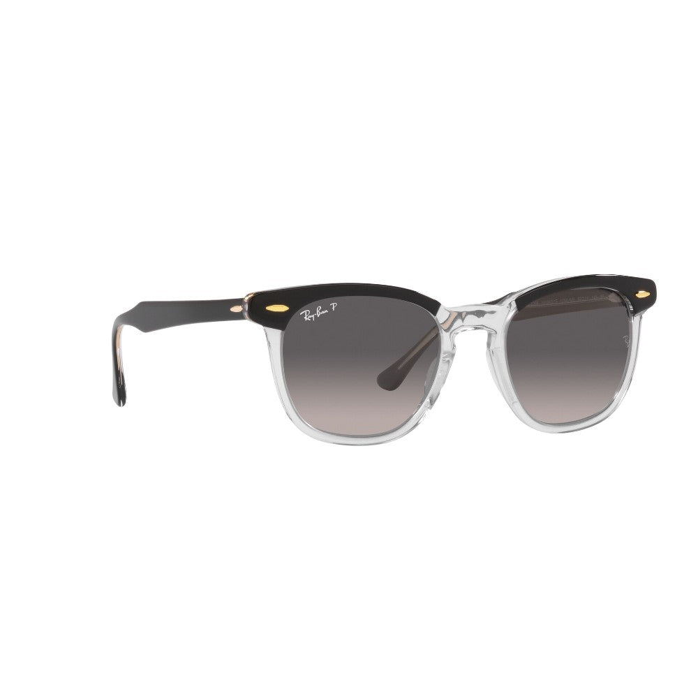 Ray-Ban Hawkeye Polarizado