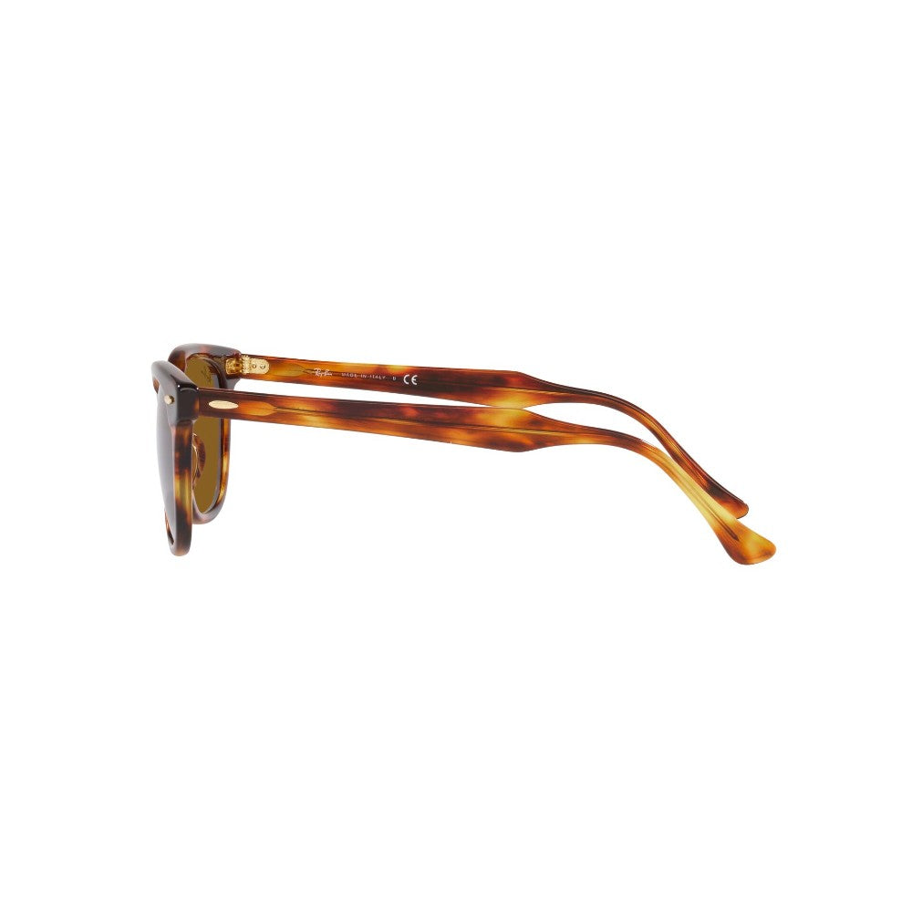 Ray-Ban Hawkeye