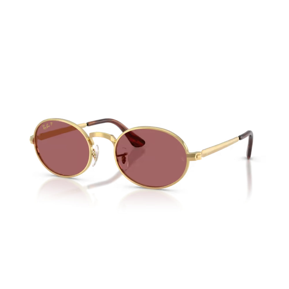 Ray-Ban BY A$AP ROCKY Lentes de Sol Polarizado