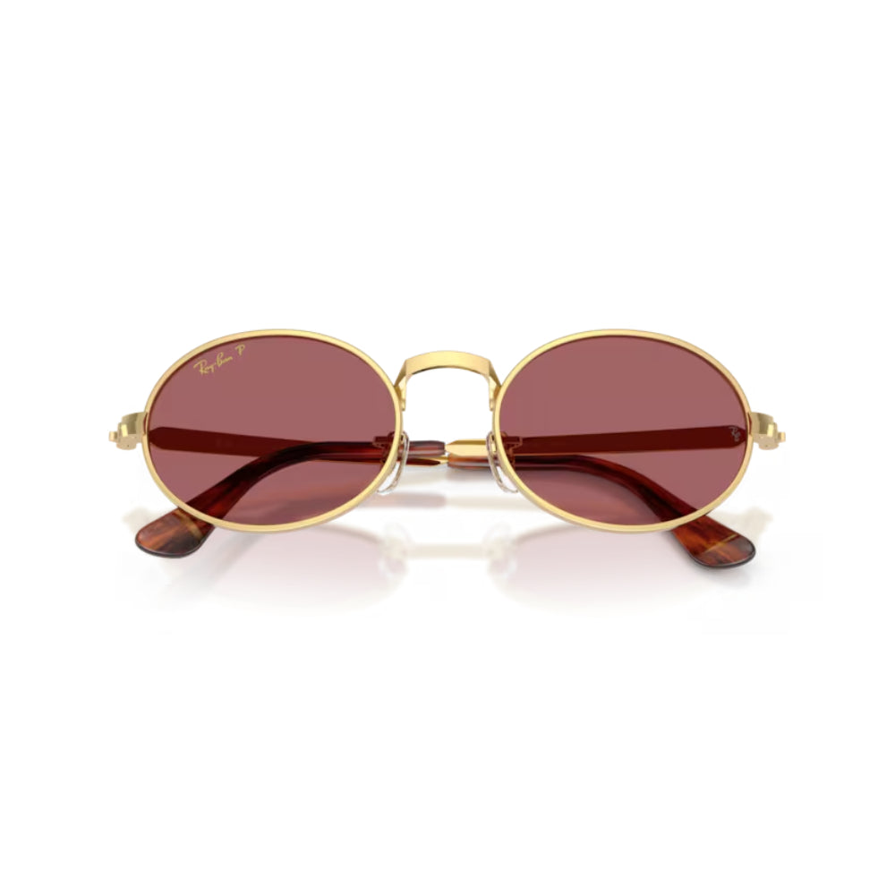 Ray-Ban BY A$AP ROCKY Lentes de Sol Polarizado
