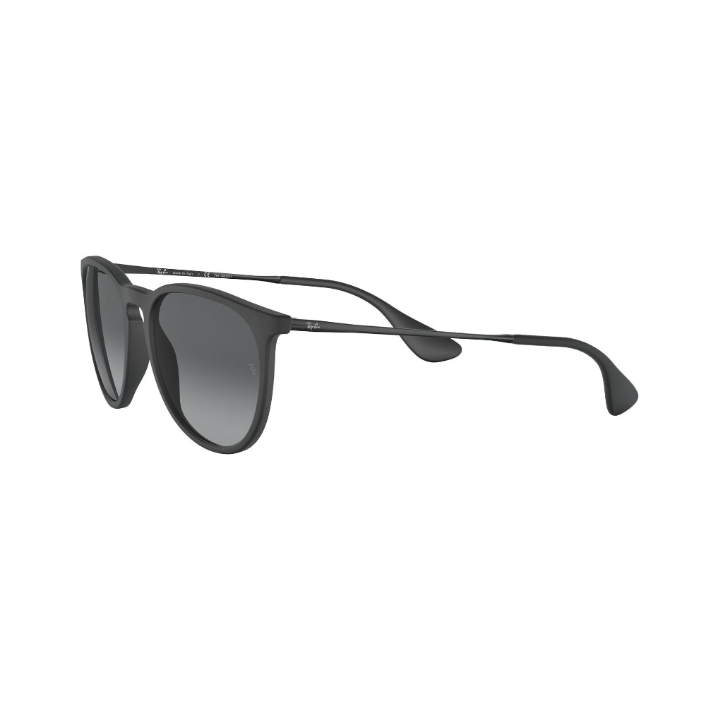 Ray-Ban Erika Polarizado