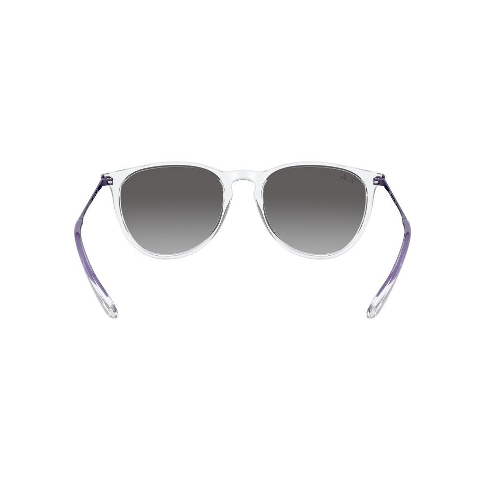 Ray-Ban Erika