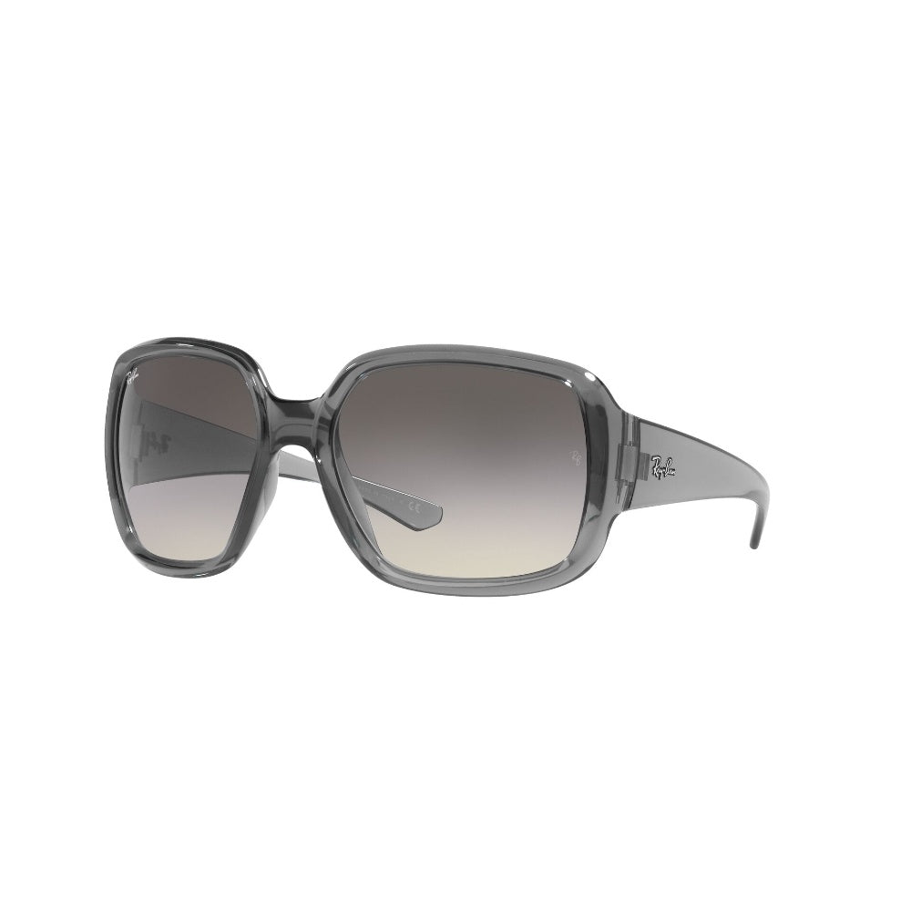 Ray-Ban Powderhorn