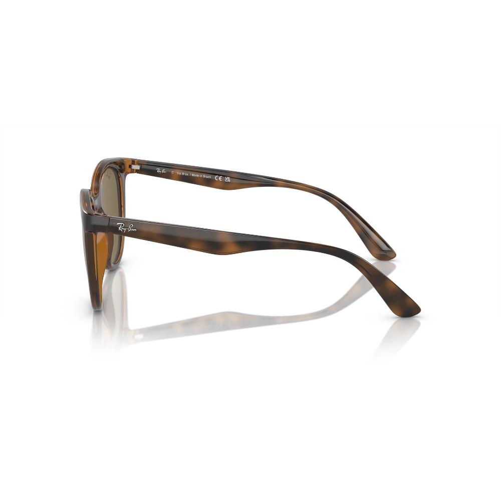 Ray-Ban Lentes de Sol