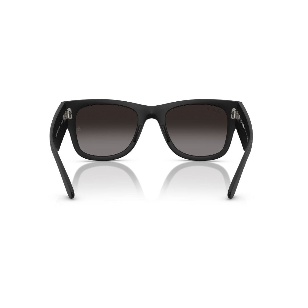 Ray-Ban Lentes de Sol Polarizado