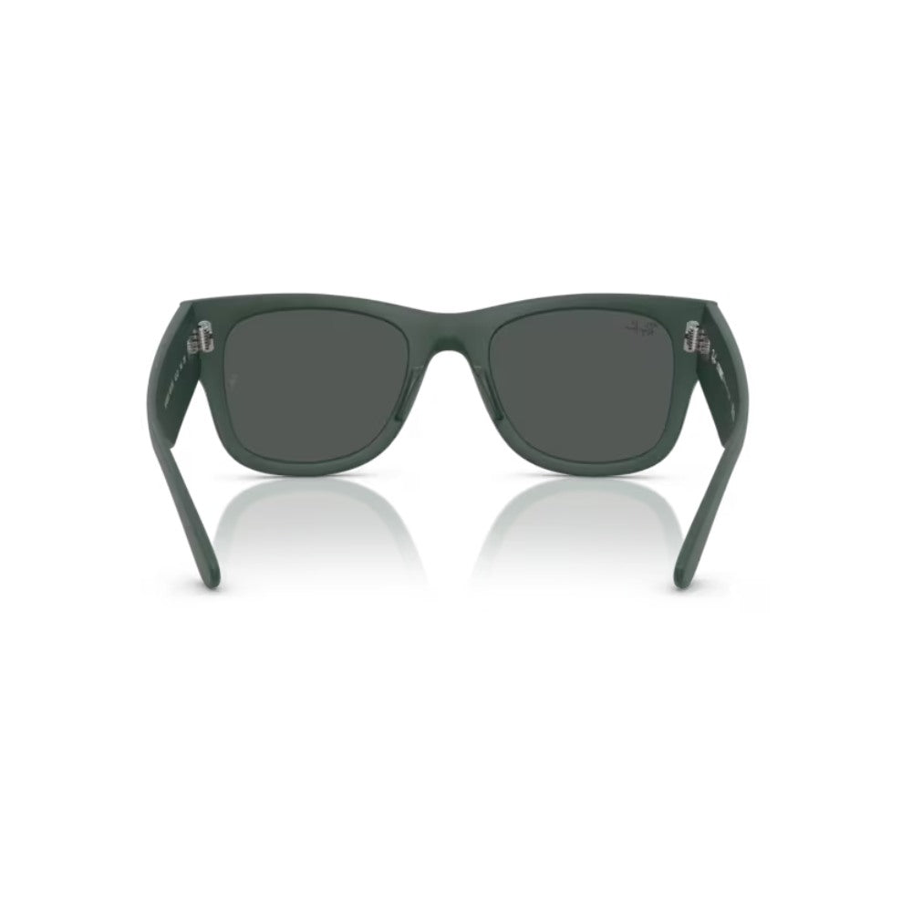Ray-Ban Lentes de Sol