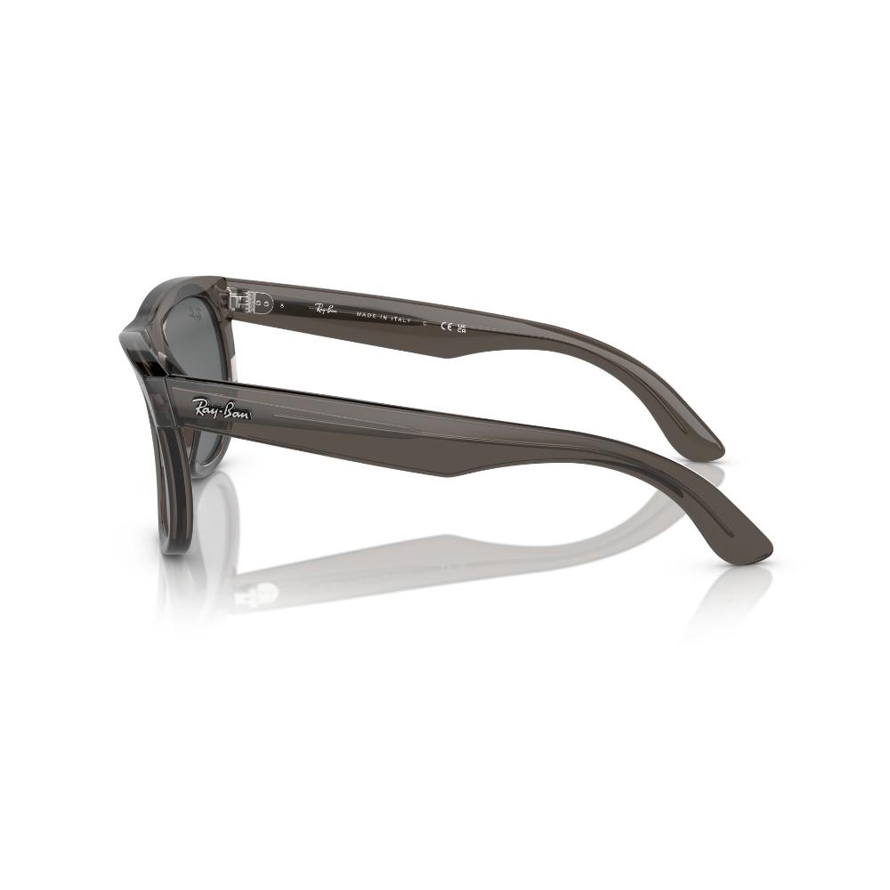 Ray-Ban Wayfarer Reverse