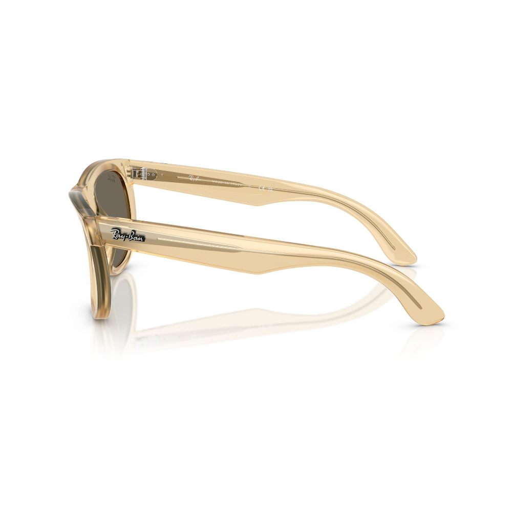 Ray-Ban Wayfarer Reverse