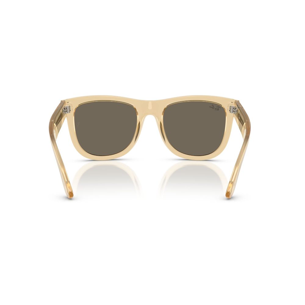 Ray-Ban Wayfarer Reverse