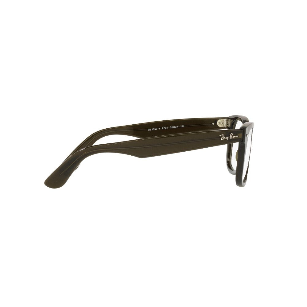 Ray-Ban Wayfarer Ease