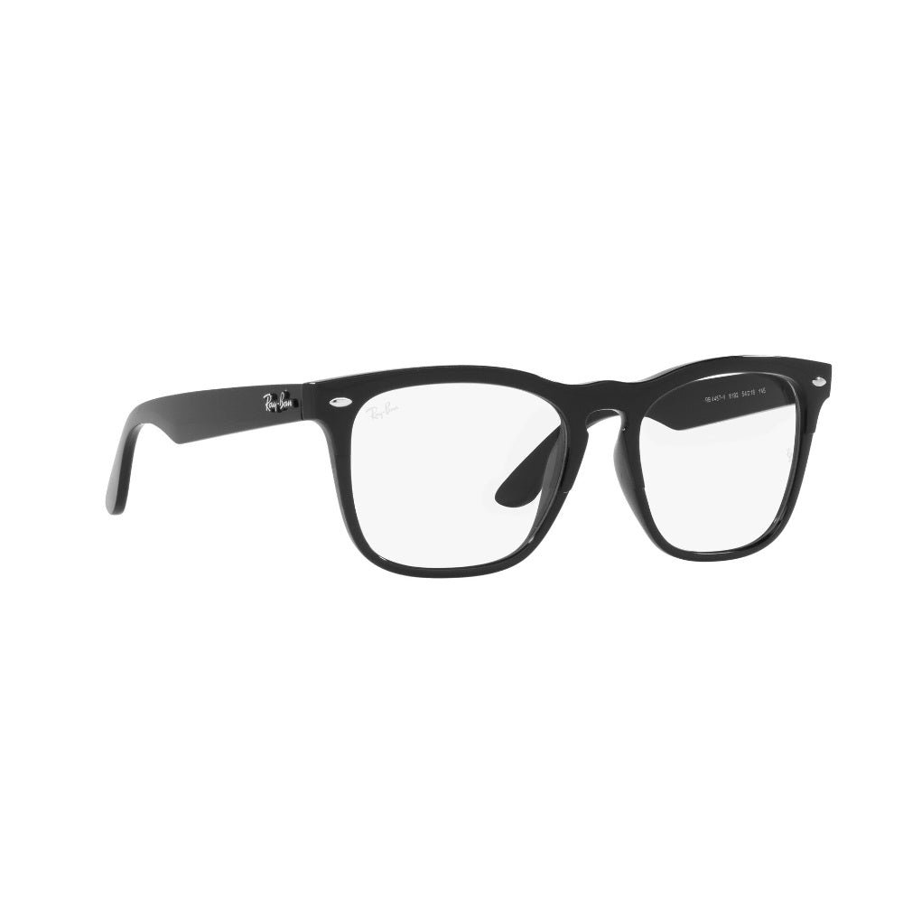 Ray-Ban Steve