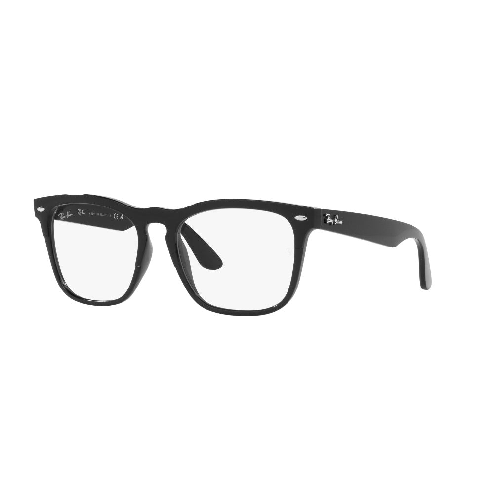 Ray-Ban Steve