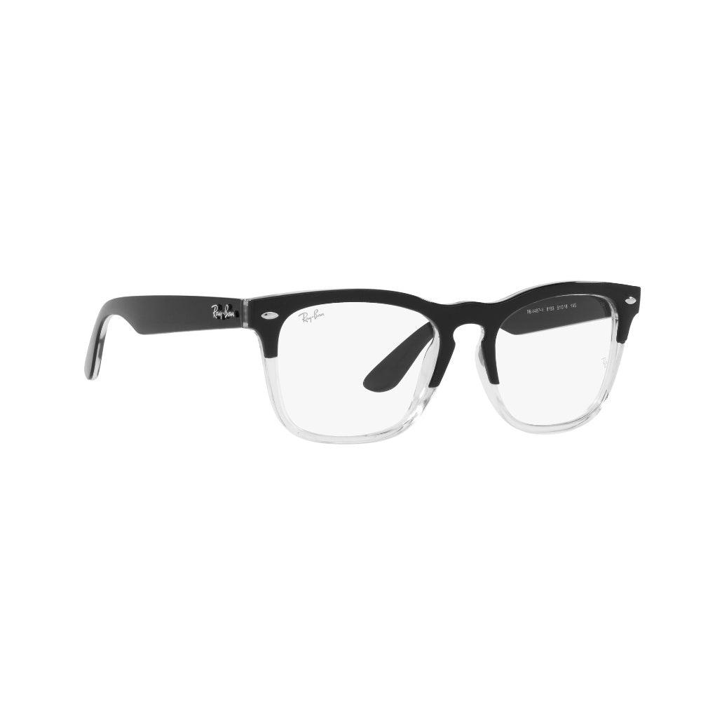 Ray-Ban Steve
