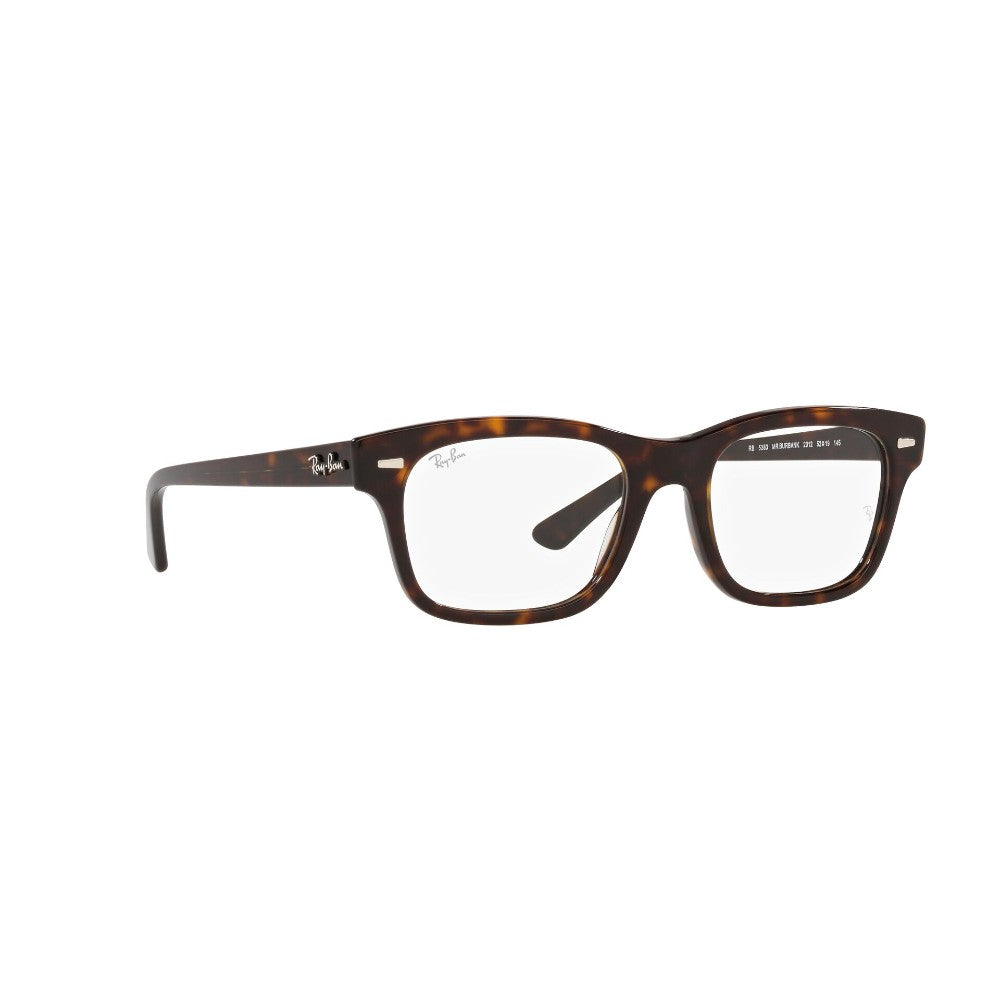 Ray-Ban Mr Burbank