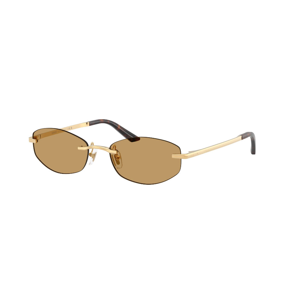Versace VE 2308D