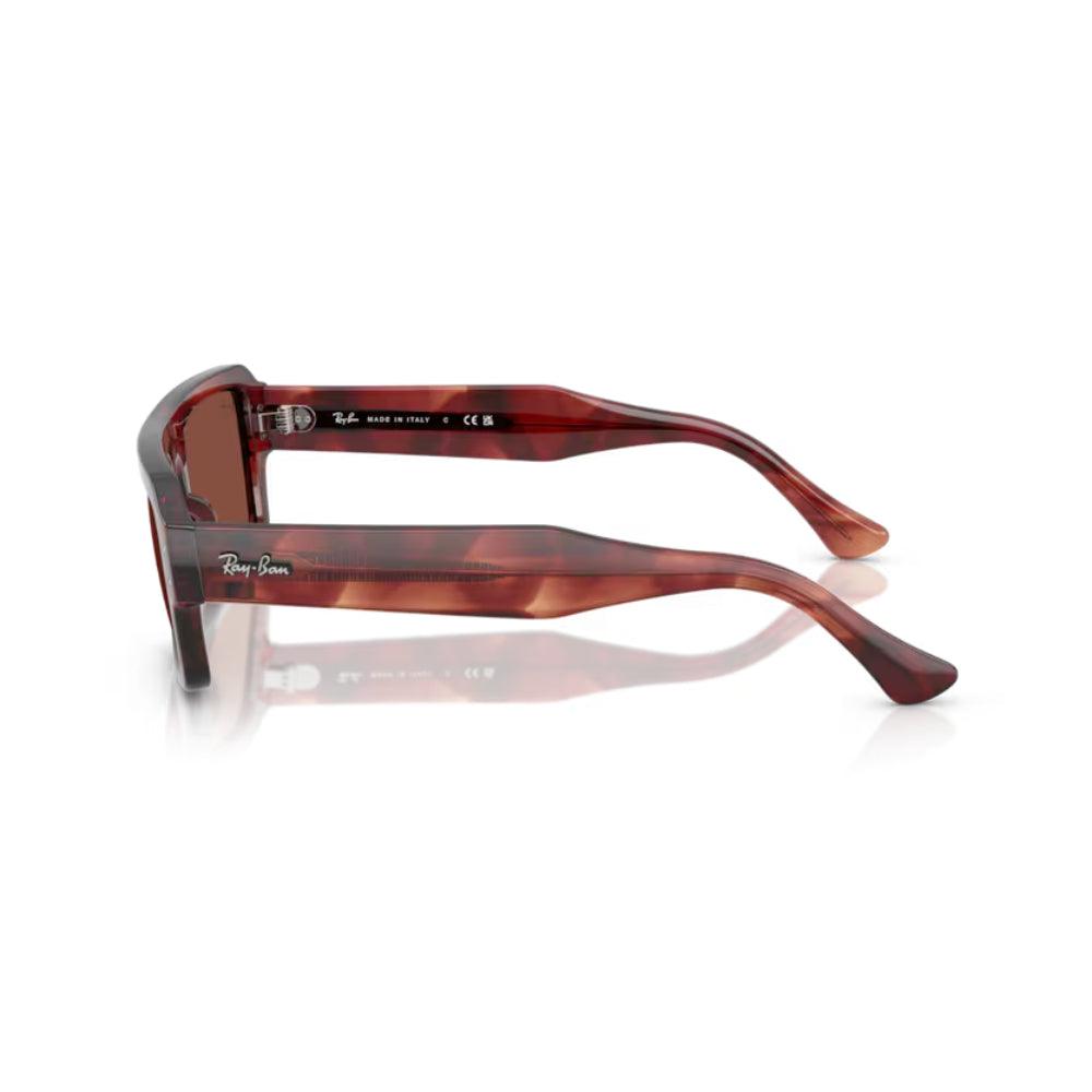 Ray-Ban  Flacko   RB 4454