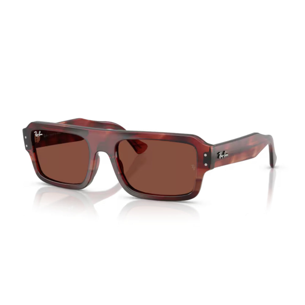 Ray-Ban  Flacko   RB 4454