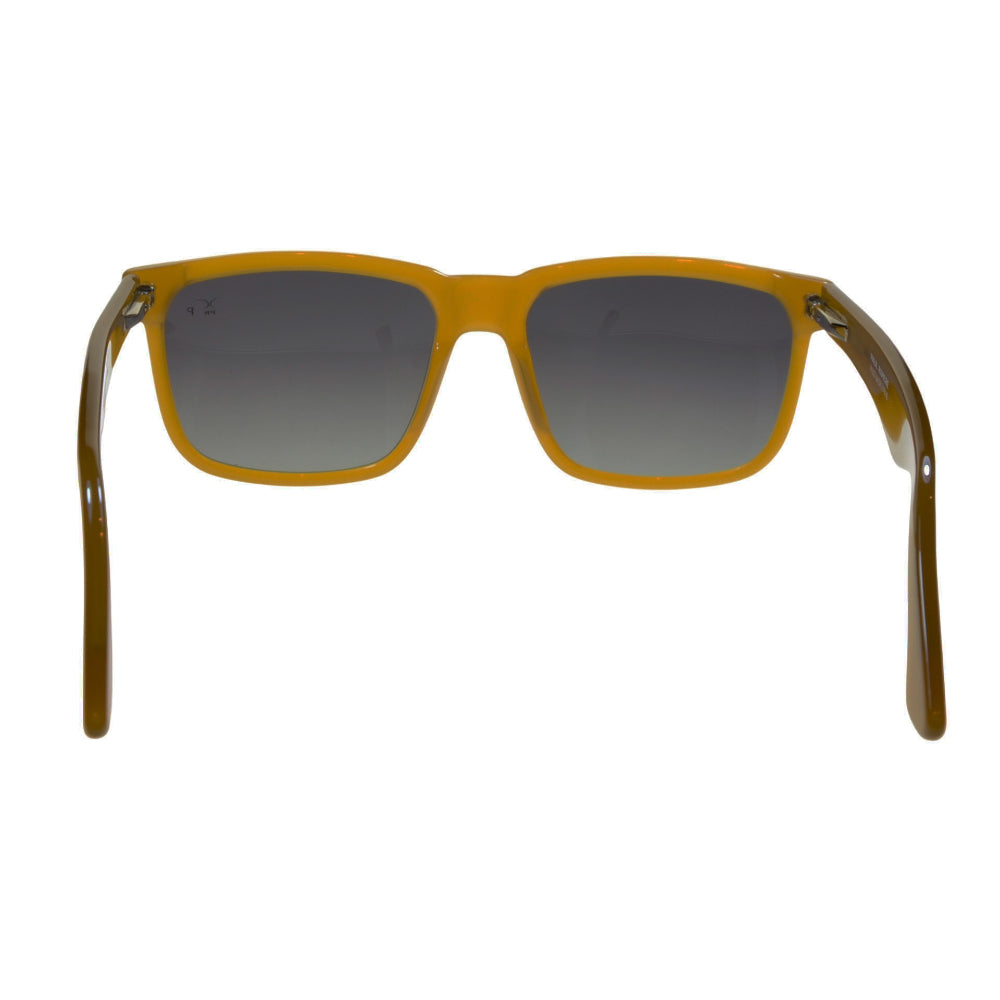 Paul Riviere Lentes de Sol 6207 Polarizado