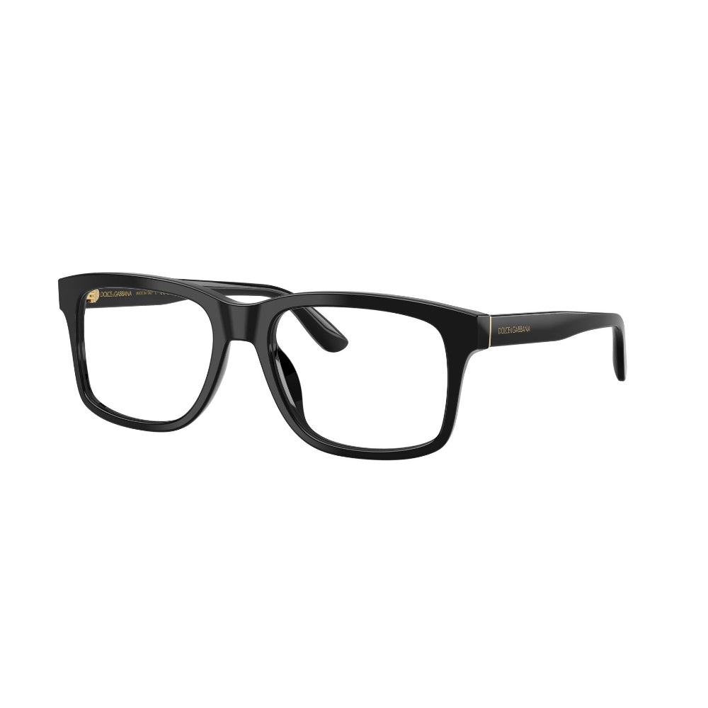 Dolce & Gabbana  DG 3453