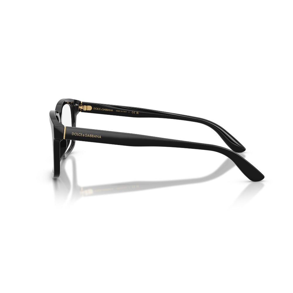 Dolce & Gabbana DG 3453